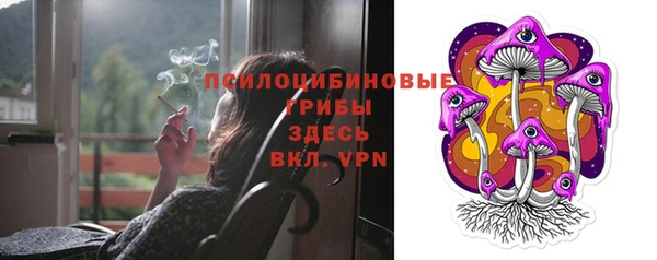 спайс Богородск