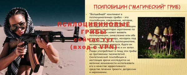 стафф Богородицк